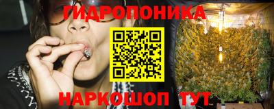 индика Тверь